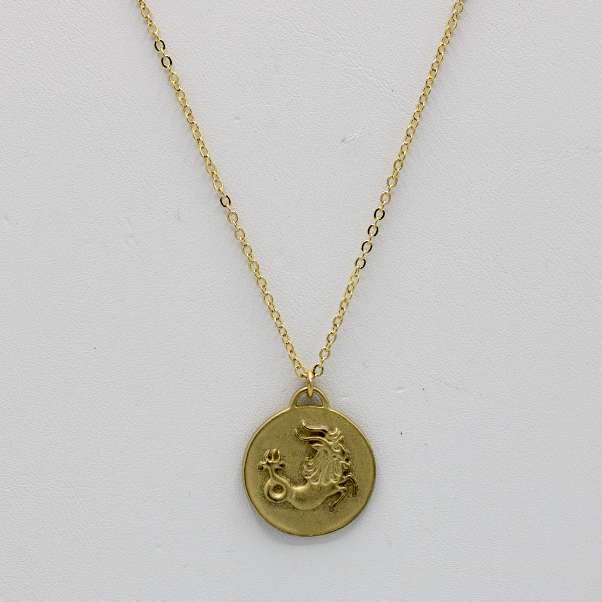 Small Capricorn Zodiac | 6029